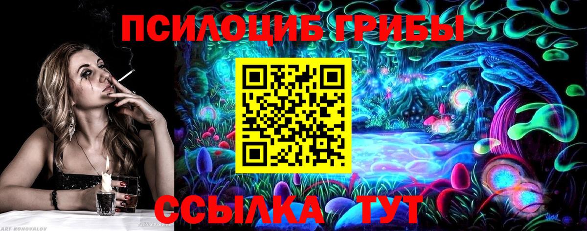 Псилоцибиновые грибы мицелий Екатеринбург